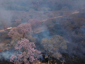 L’Amazzonia continua a bruciare. Siccità e incendi dolosi mandano in fumo una straordinaria biodiversità