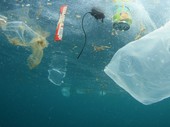 L'Europa dice no alla plastica. E dice sì ai Pfas