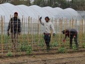 L’orto di Castiglione: piantare verdura, raccogliere inclusione