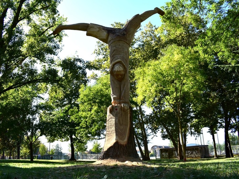 La rinascita degli alberi attraverso la scultura