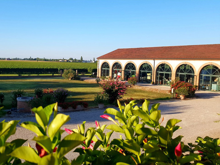 La tenuta "La Favorita" di Megliadino San Vitale. Terra e bio chiedono acqua La tenuta "La Favorita" di Megliadino San Vitale. Terra e bio chiedono acqua