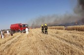 La vendetta di Isis: brucia i campi di grano di Siria e Iraq