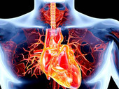 Malattie valvole cardiache, ne soffrono anziani e caregiver: le ricadute