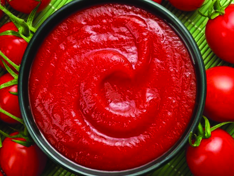 No al caporalato e allo sfruttamento nella filiera del pomodoro. L’alleanza promossa da Funky Tomato No al caporalato e allo sfruttamento nella filiera del pomodoro. L’alleanza promossa da Funky Tomato