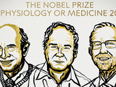 Nobel agli scopritori del virus dell'Epatite C: "salvate milioni vite"