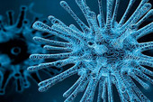 Nuovo coronavirus (2019-nCoV): le risposte alle domande più frequenti