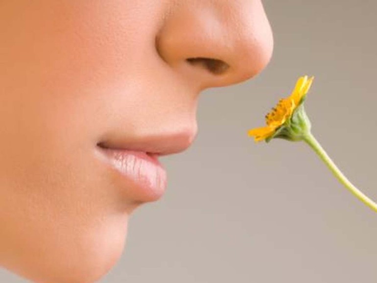 Orientarsi con gli odori. La relazione esistente tra stimoli olfattivi e memoria spaziale