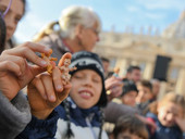 Papa Francesco all’udienza: “Fare sempre un piccolo presepe a casa”