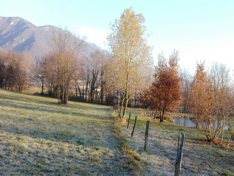Pedemontana del Grappa: sta nascendo un gruppo interparrocchiale su temi ambientali Pedemontana del Grappa: sta nascendo un gruppo interparrocchiale su temi ambientali