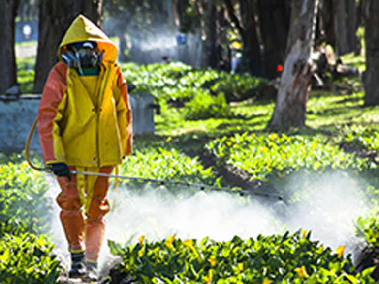 Pesticidi, dossier di Legambiente: quasi metà dei campioni contiene residui