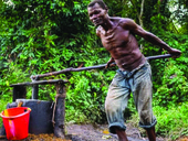 Piantagioni di palma da olio in Congo: lavoratori manifestano per il salario