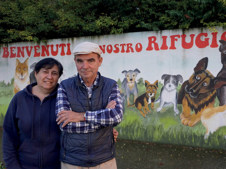 Piazzola sul Brenta. Il canile rifugio di Presina compie 20 anni. Una festa per celebrare la ricorrenza Piazzola sul Brenta. Il canile rifugio di Presina compie 20 anni. Una festa per celebrare la ricorrenza