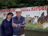Piazzola sul Brenta. Il canile rifugio di Presina compie 20 anni. Una festa per celebrare la ricorrenza