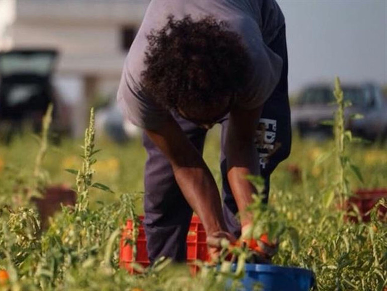 Porre fine allo sfruttamento in agricoltura, “la nuova politica comune ha bisogno di condizionalità sociale”