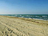 Porto Tolle è la nona spiaggia bandiera blu. In Veneto ci sono anche sei tratti di costa con “bandiere verdi” 