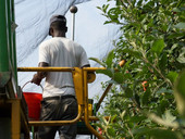 Salario minimo, Mininni (Flai Cgil): “Primo importante passo, ci sono troppi lavoratori poveri”