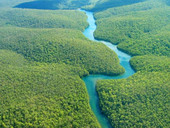 Sinodo per l’Amazzonia: scommessa da raccogliere in un mondo in cui “tutto è connesso”