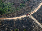 Sinodo per l’Amazzonia: un reportage per “guardarla negli occhi”