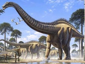 Supersaurus! Il ritrovamento del più grande dinosauro mai esistito