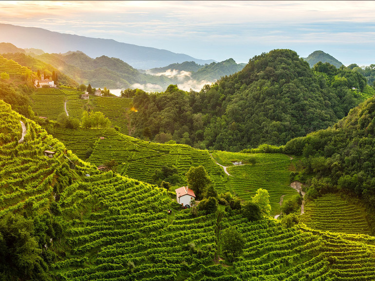 Tra colline e prosecco: parte la rassegna "Una Collina di libri"