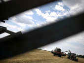 Ucraina: S.B. Shevchuk su ritiro russo da “accordo sul grano”, “ancora una volta la Russia utilizza il pane come arma”