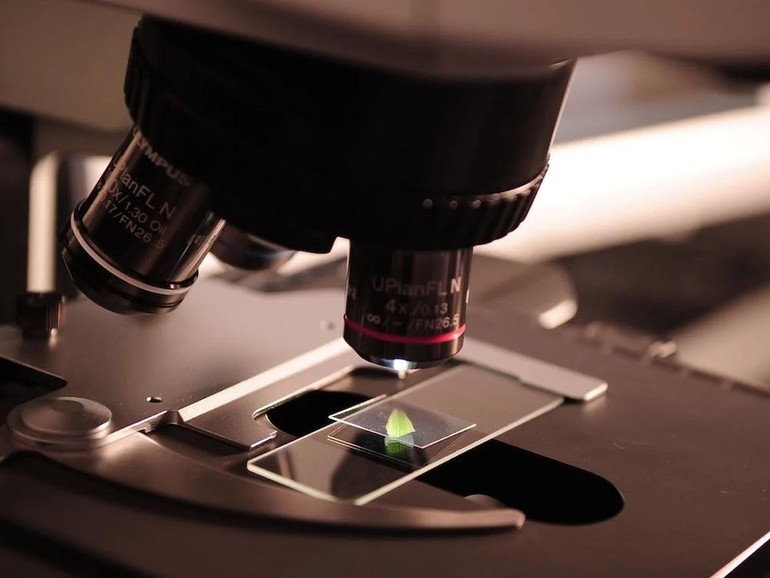 Un nuovo anno di scoperte. I principali eventi scientifici attesi per il 2023 Un nuovo anno di scoperte. I principali eventi scientifici attesi per il 2023