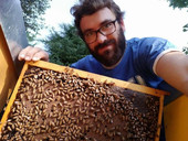 Un progetto installa apiari nei parchi di Padova. In ciascun barattolo di miele c’è un legame millenario con le api