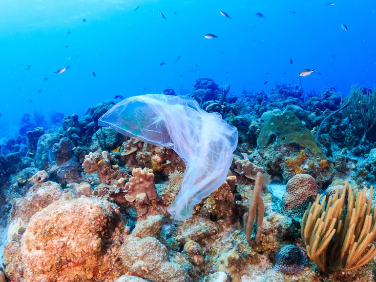 Una nuova ricerca circa la presenza di plastica negli oceani Una nuova ricerca circa la presenza di plastica negli oceani