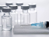 Vaccino, l'alleanza delle ong: l'intesa al Wto non salva le vite