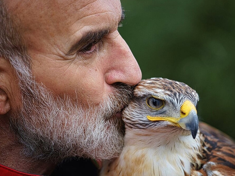 Valter Zanin e l’arte della falconeria. L’affascinante mondo dei rapaci