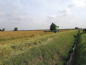 Veneto Agricoltura. Un secolo a fianco degli agricoltori
