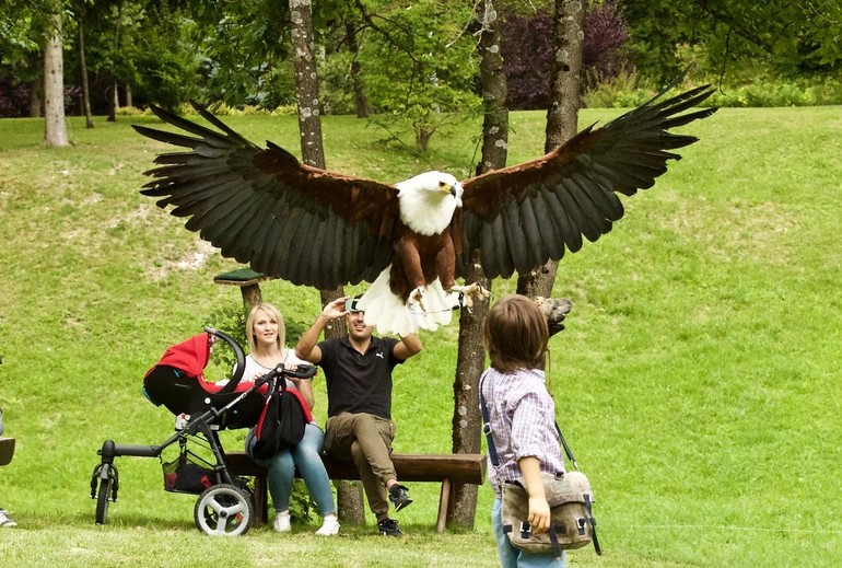 Park des Dolomites e Lo Scoiattolo: qui gli ospiti sono "di casa" Park des Dolomites e Lo Scoiattolo: qui gli ospiti sono "di casa"