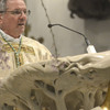 Sono le 20.30 di giovedì santo quando in Cattedrale comincia la messa "in coena domini" presieduta dal vescovo Claudio Cipolla