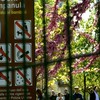 Il cartello con tutti i divieti del parco Campanula 