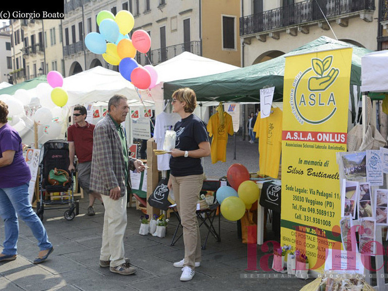 "Vivere a colori", la festa del volontariato torna in Prato della Valle