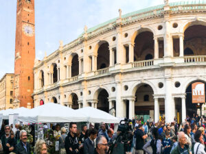 Carpini, platani e quella ciclabile “taglia-radici”
