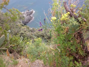 Terra Madre 2026, attenzione alla biodiversità