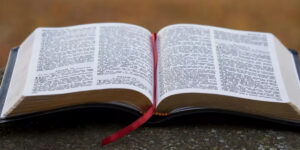 “Bibbia e peccato”: ripartono i convegni dell’associazione Bibbia aperta