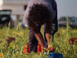 Il grande contributo del “lavoro immigrato”. Dietro il “Made in Italy”