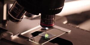 Passi avanti nella medicini rigenerativa. Autorizzato in Giappone (per la prima volta al mondo) l’uso clinico diffuso di alcune terapie con le cellule staminali iPS