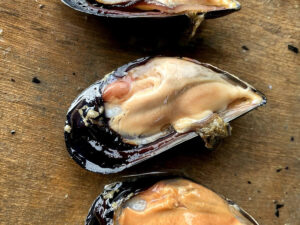 Cozze e vongole spingono il Veneto in cima all’Italia. 28 operatori su 68 nazionali sono bio
