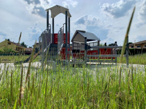 Il verde in città, di più e accessibile. Come stanno le aree green urbane