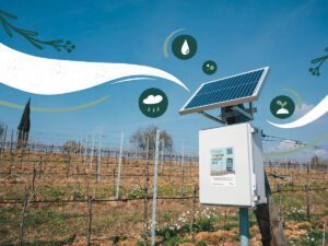 Sensibilità sull’ambiente: l’innovazione prima del futuro