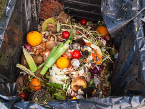 Gestione dei rifiuti urbani. La differenza è tutta nella differenziata