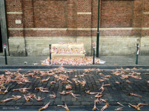 Toys? di Anna Piratti. Non sono solo bambole. L’installazione artistica