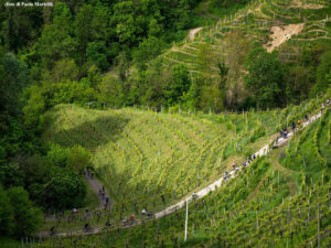 Valdobbiadene. Ottava edizione del Festival dedicato al jazz
