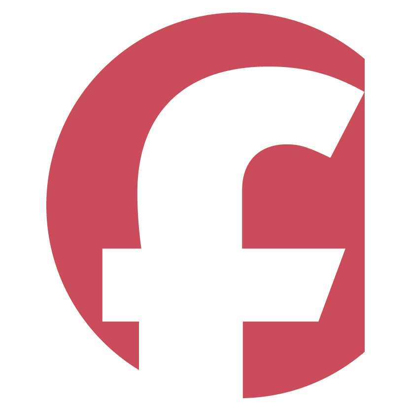 Fatti Icon