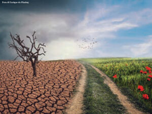 Lotta climatica, una partita senza tempi supplementari