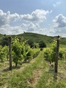 Il paesaggio va difeso ma non “alla giornata”