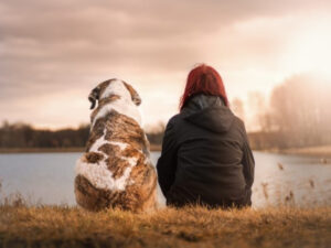 Animali d’affezione e aldilà: quale prospettiva cristiana?